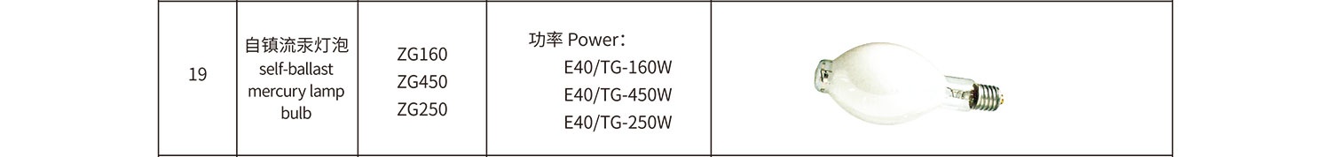 自鎮(zhèn)流汞燈泡-